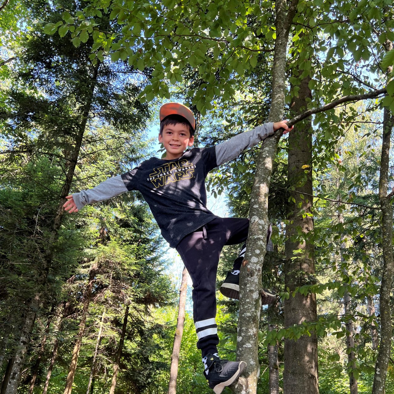 Junge klettert im Wald