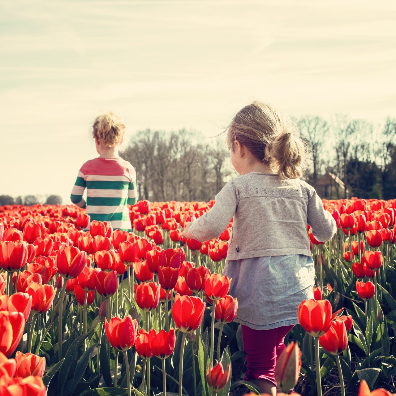 Zwei Kinder laufen durch Blumenwiese mit Mohnblumen
