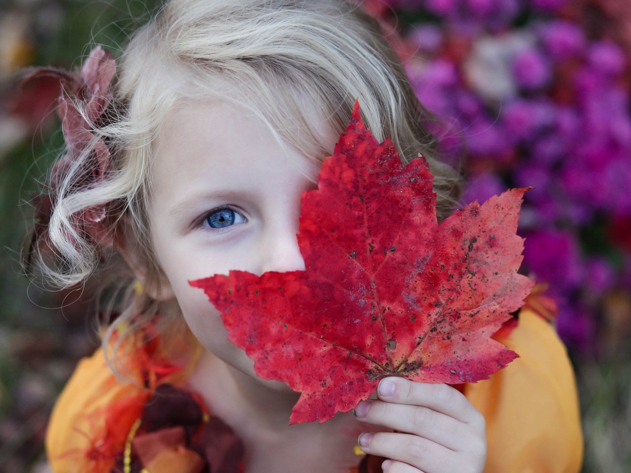 Mädchen hält Herbstblatt vor ihr Gesicht. 